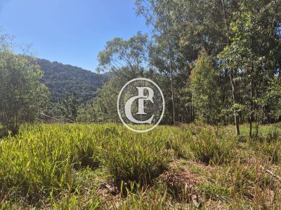 Chácara, 1 quarto, 2 hectares - Foto 4