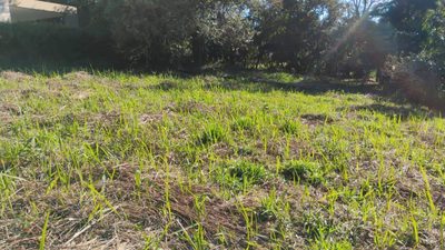 Terreno, 1180 m² - Foto 4