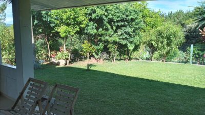 Sítio, 4 hectares - Foto 4