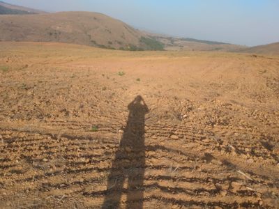 Fazenda, 160 hectares - Foto 3