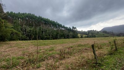 Fazenda, 10 hectares - Foto 1