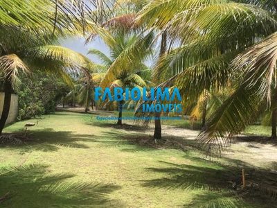 Terreno, 2 hectares - Foto 1
