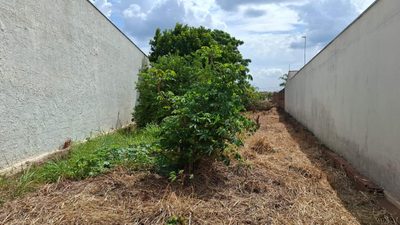 Terreno, 542 m² - Foto 3