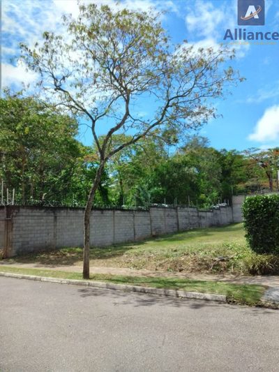 Terreno, 500 m² - Foto 5