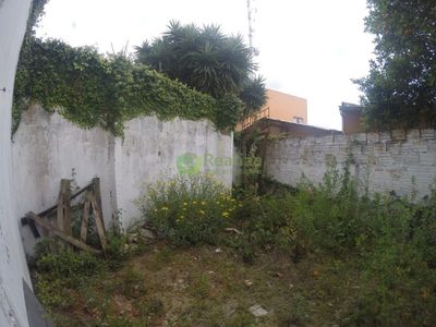 Depósito-Galpão - Foto 3