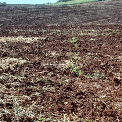 Fazenda, 30 quartos - Foto 5