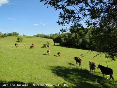 Fazenda, 63 hectares - Foto 1