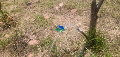 Sítio, 1 quarto, 19 hectares - Foto 4