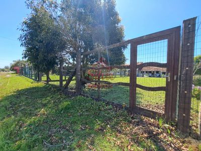 Terreno - Foto 4