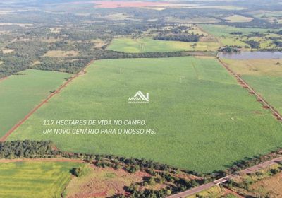 Terreno, 2000 m² - Foto 2