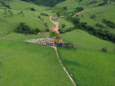 Fazenda, 334 hectares - Foto 2