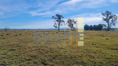 Terreno, 208 hectares - Foto 4