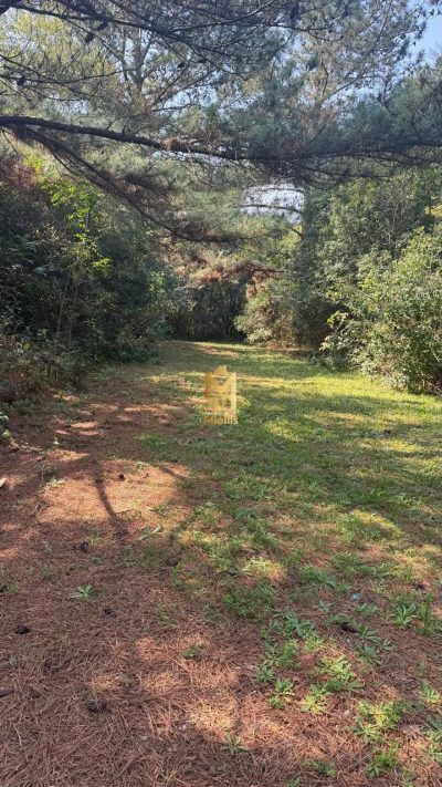 Terreno, 437 m² - Foto 5