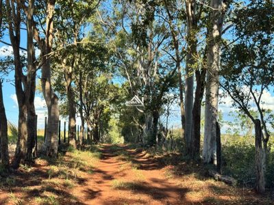 Chácara, 27 hectares - Foto 1