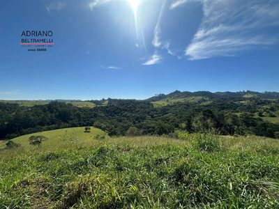 Terreno, 3 hectares - Foto 3