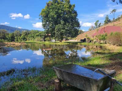 Sítio, 4 quartos, 30700 hectares - Foto 3