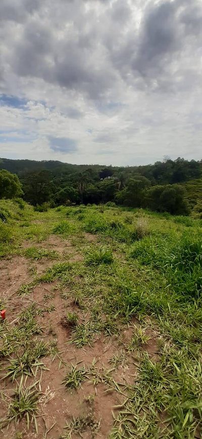 Terreno, 2 hectares - Foto 5