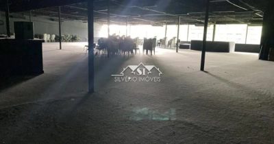 Depósito-Galpão, 1500 m² - Foto 3