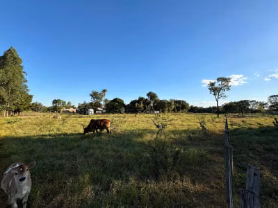 Terreno, 10000 m² - Foto 1
