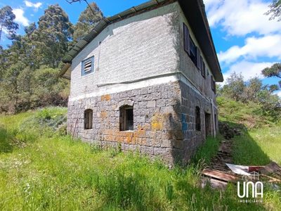Chácara, 2 hectares - Foto 4