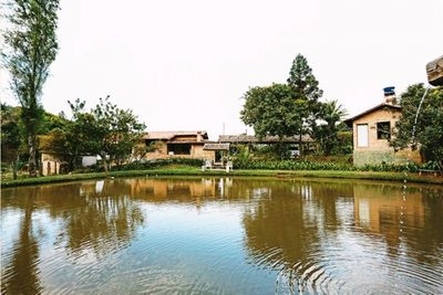 Chácara, 5 quartos - Foto 2