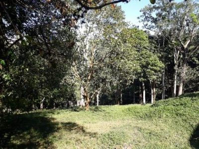 Chácara, 3 quartos, 1000 m² - Foto 2