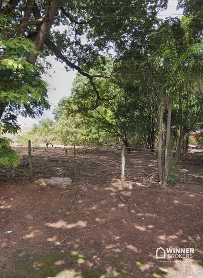 Chácara, 4 quartos, 4 hectares - Foto 2