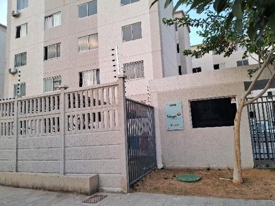 Apartamento, 4 quartos, 44 m² - Foto 1