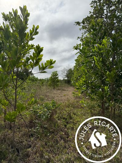 Terreno, 30000 m² - Foto 1