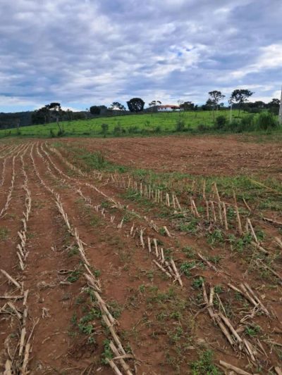 Fazenda - Foto 3