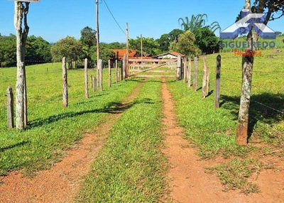 Sítio, 3 quartos, 3 hectares - Foto 2