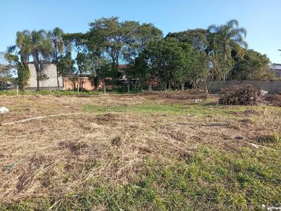 Terreno - Foto 5