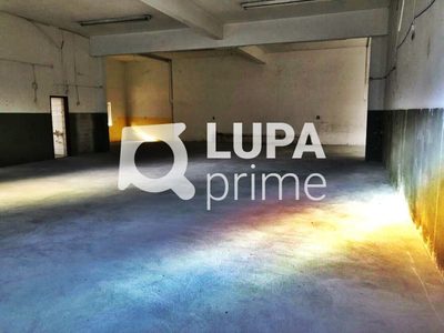 Depósito-Galpão, 834 m² - Foto 2