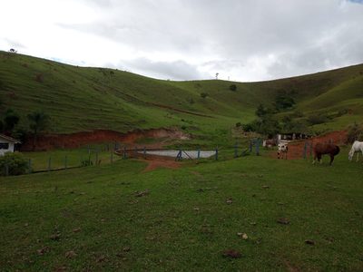 Fazenda, 10000 m² - Foto 3