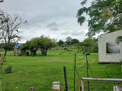 Terreno, 9 hectares - Foto 4