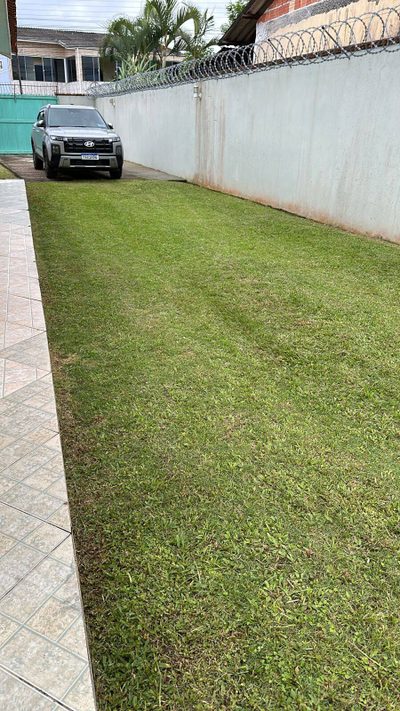 Terreno - Foto 2