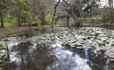 Sítio, 3 quartos, 19 hectares - Foto 4