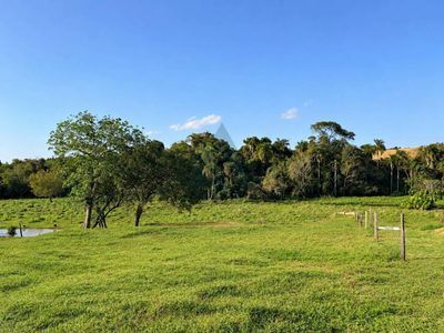 Terreno, 4200 m² - Foto 5