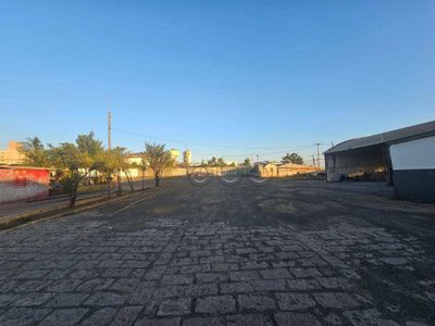 Loja-Salão, 999 m² - Foto 3