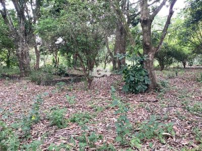 Terreno, 1620 m² - Foto 4