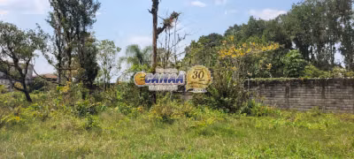 Sítio, 2250 m² - Foto 2