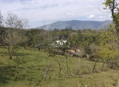 Fazenda, 6 hectares - Foto 4