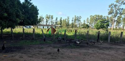 Terreno, 10000 m² - Foto 5
