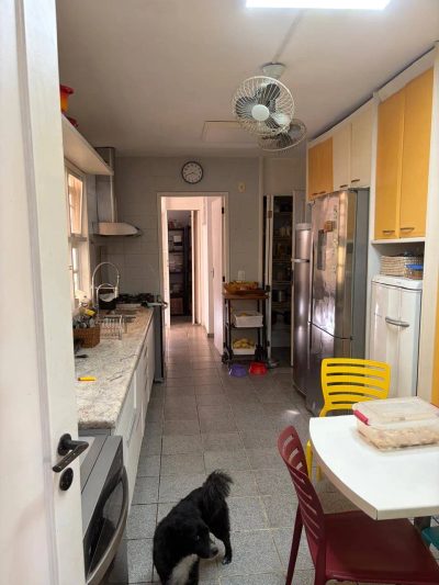 Casa, 5 quartos, 270 m² - Foto 5