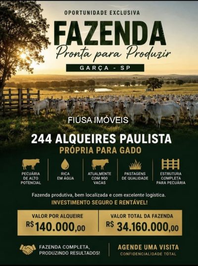 Fazenda - Foto 1