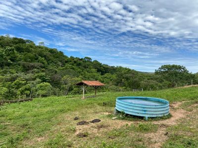 Fazenda, 214 hectares - Foto 5