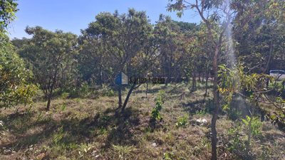 Terreno, 1028 m² - Foto 4