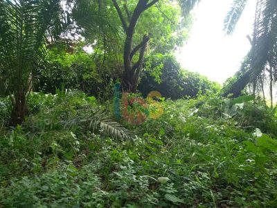 Terreno, 3300 m² - Foto 4