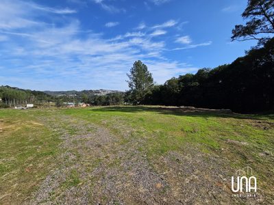 Terreno, 2 hectares - Foto 2