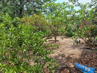 Terreno, 360 m² - Foto 1